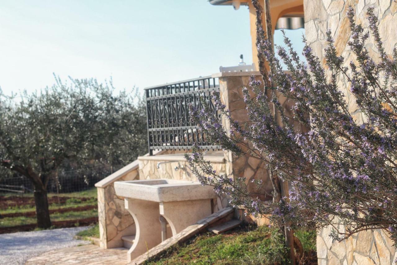 Casa Vesna Βίλα Ρόβινι Εξωτερικό φωτογραφία