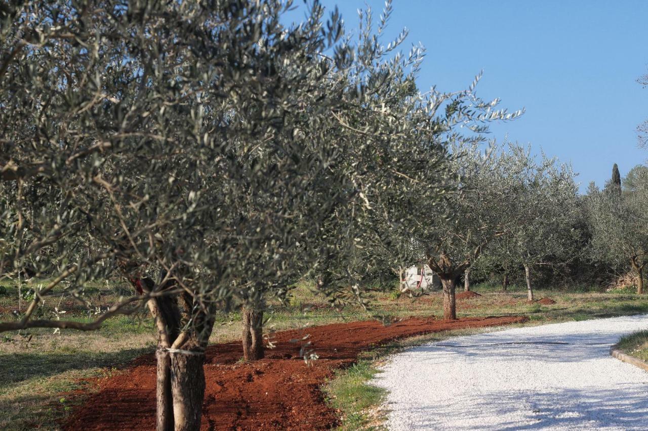 Casa Vesna Βίλα Ρόβινι Εξωτερικό φωτογραφία